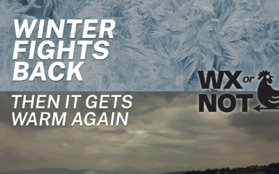 WEEKEND FORECAST: Winter fights back…A LITTLE BIT