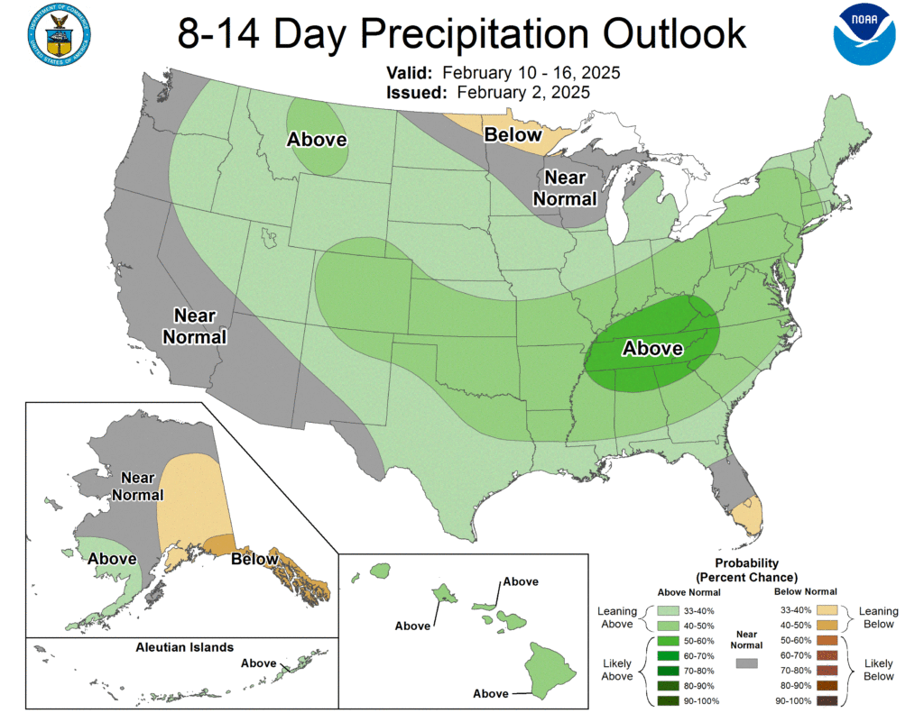 Warm Start to February, Rain Returns Wed.