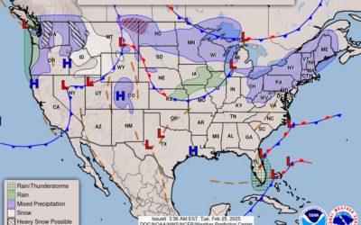 FEB 25th: A Peak Into Spring