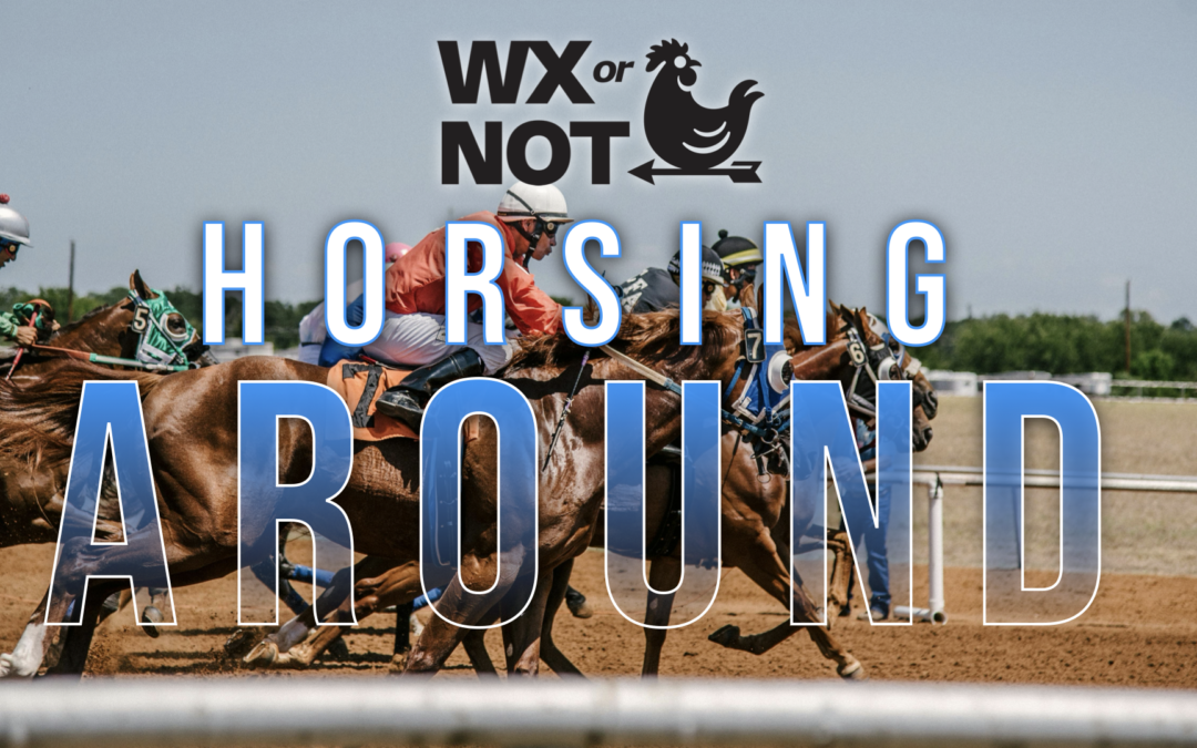 WABBLES Weekend: Mother Nature Horsing Around