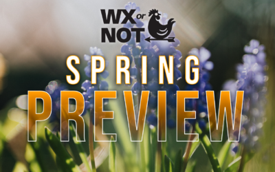 WABBLES Weekend: Spring Preview Takes Over Saturday